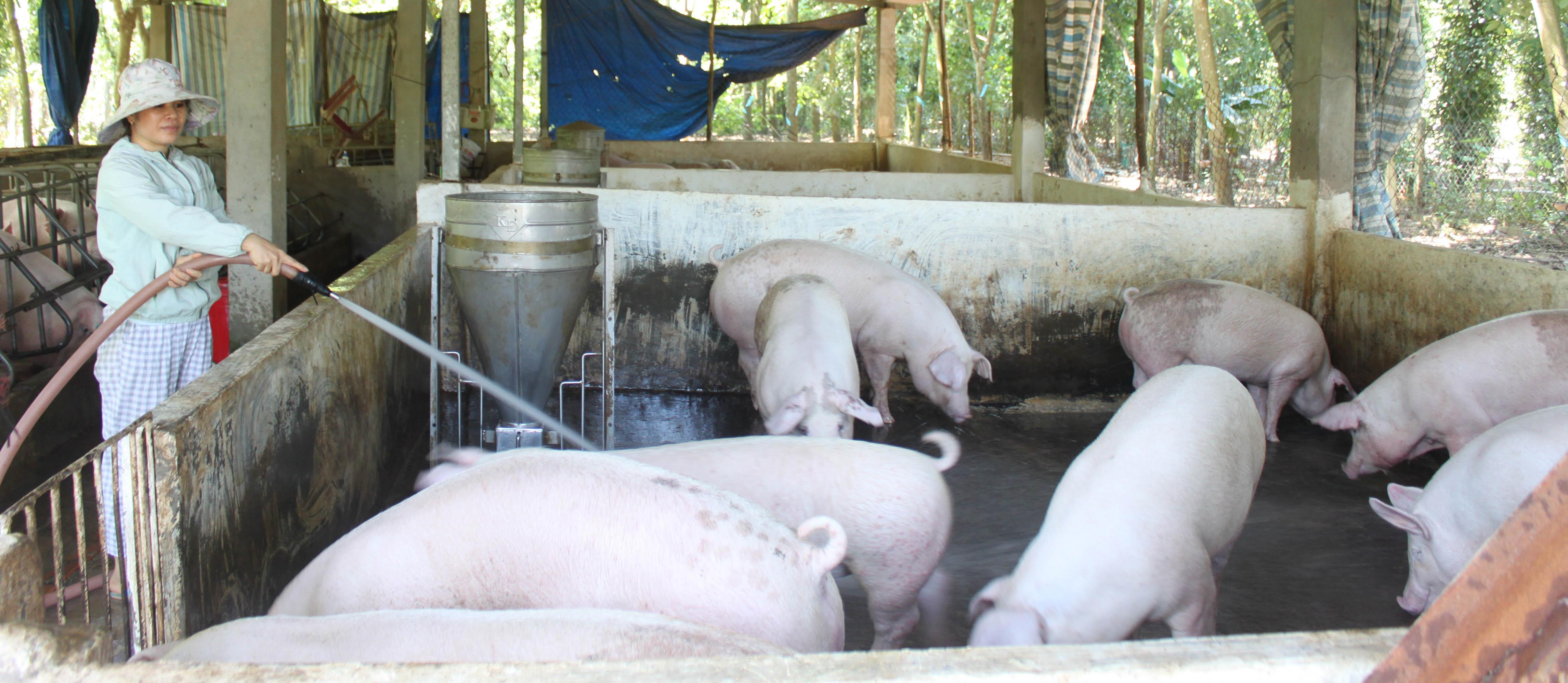 Nghị lực của những “bóng hồng” K9